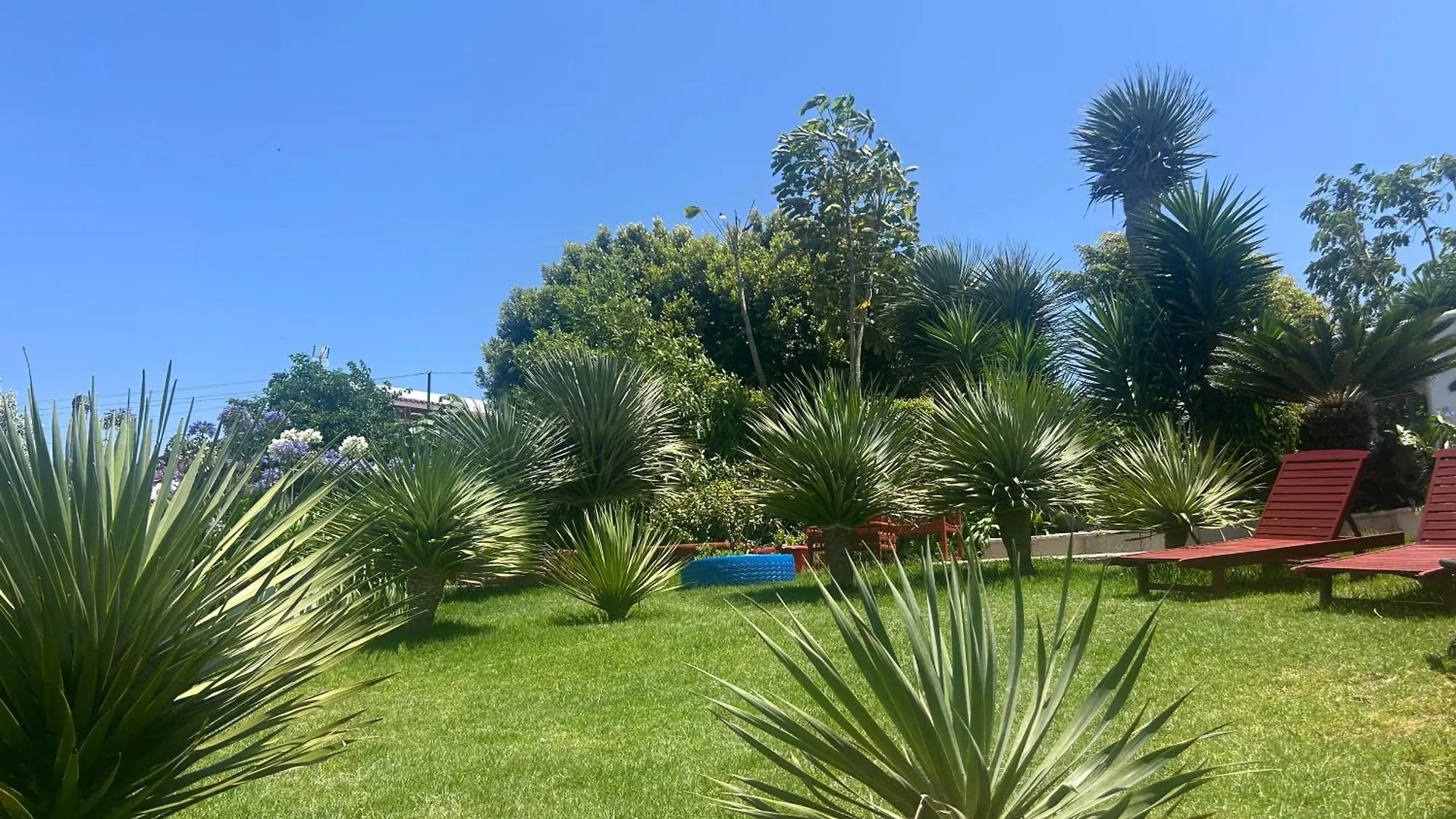 Casa Diego Tegueste